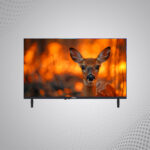 Nexon LED 32” Television (NX-LE32DS-B) - Image 2