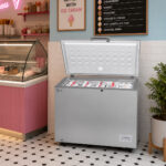 Roch Chest Freezer (Model: RCF-230B-B)