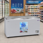 Roch Chest Freezer (Model: RCF-600E-B)