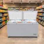 Roch Chest Freezer (Model: RCF-890E-B)