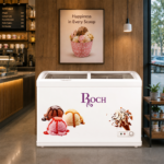 Roch Ice Cream Showcase Freezer (Model: RIS-570C-D)